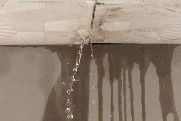 Professional Flood Damage Cleanup technician working in Coker, AL
